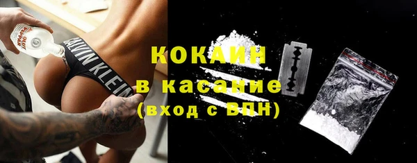 мяу мяу мука Арсеньев