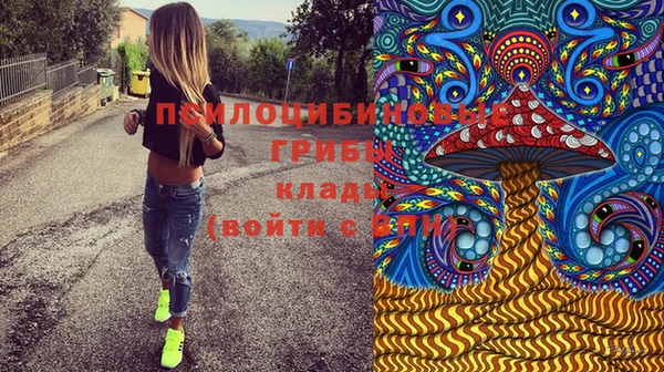 мяу мяу мука Арсеньев