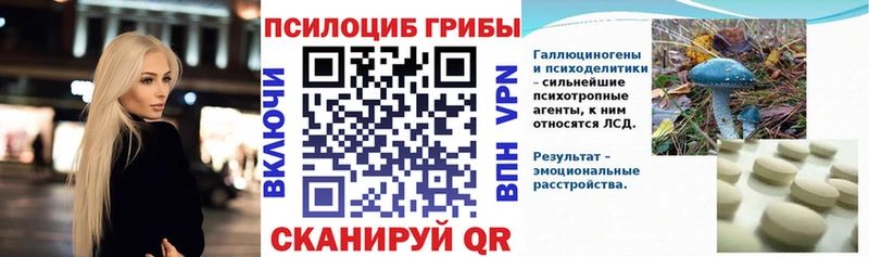 Псилоцибиновые грибы Psilocybine cubensis  Правдинск 